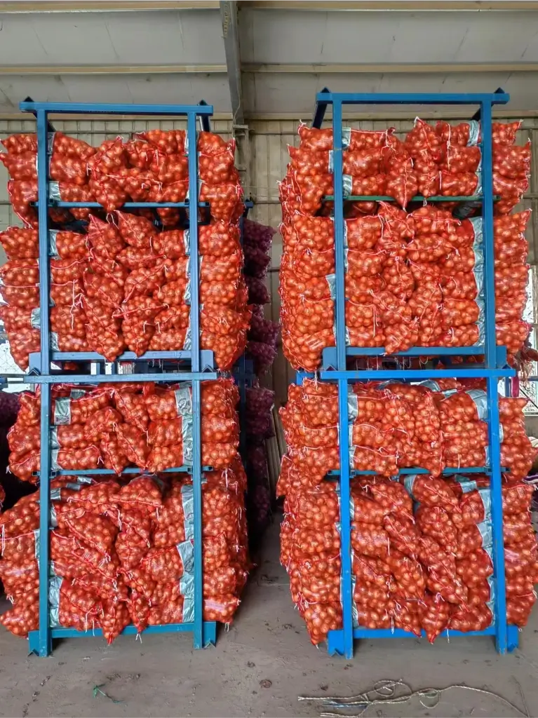 Bulk Onions and Garlic Supply