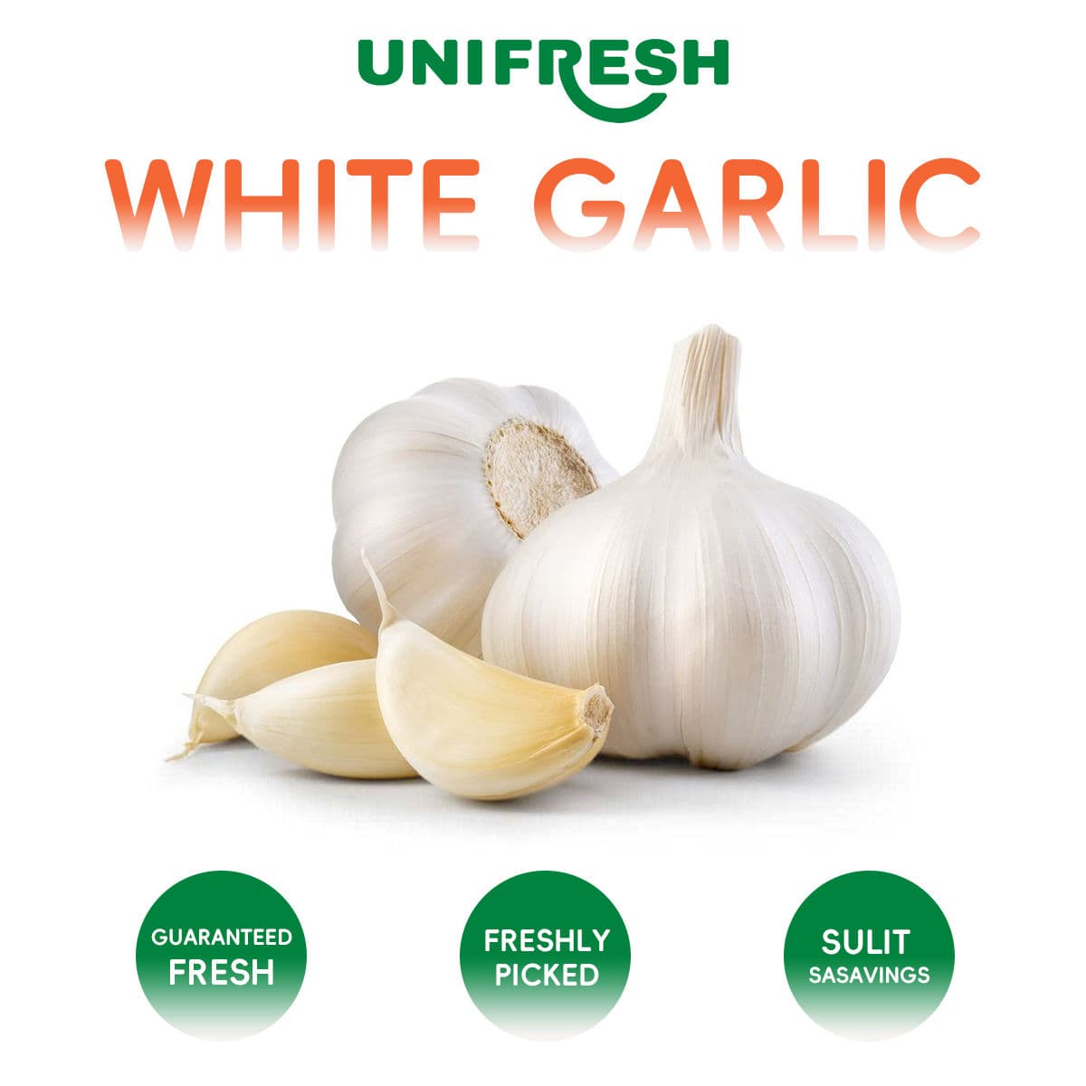 Premium Big White Garlic 230~4500g